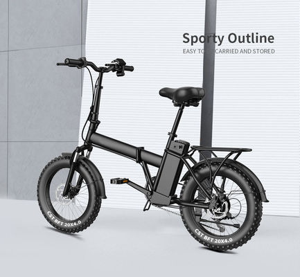 48v pliant le poids net 27kg léger de vélo électrique avec le gros pneu de 14in